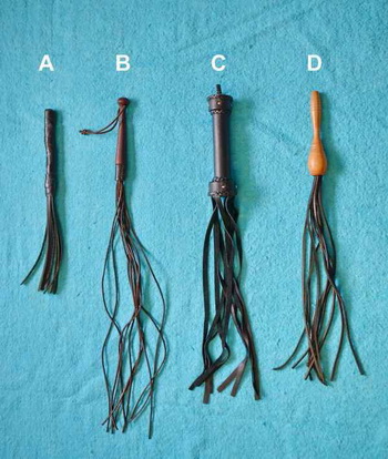 martinets and whips